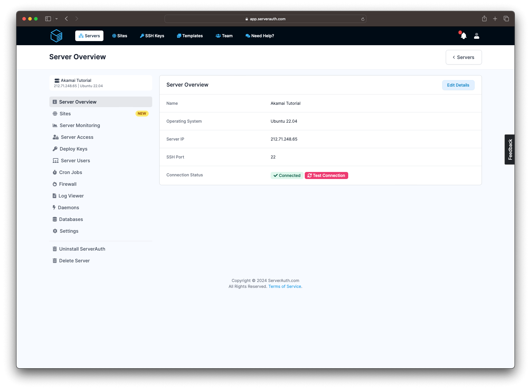 Screenshot showing the server details after creation via the API